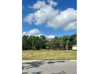 Take advantage of this rare opportunity to own the LAST GOLF on Halifax Plantation Golf Club in Florida - for sale on GolfHomes.com, golf home, golf lot