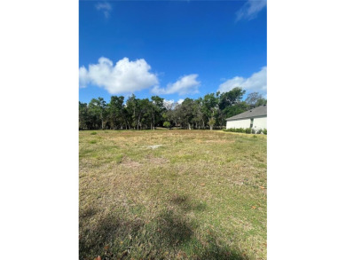 Take advantage of this rare opportunity to own the LAST GOLF on Halifax Plantation Golf Club in Florida - for sale on GolfHomes.com, golf home, golf lot