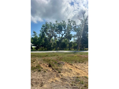 Take advantage of this rare opportunity to own the LAST GOLF on Halifax Plantation Golf Club in Florida - for sale on GolfHomes.com, golf home, golf lot