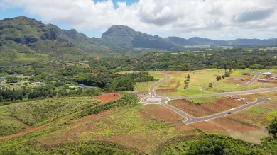Exceptional Opportunity in Lihue's Newest Golf Course on Puakea Golf Course in Hawaii - for sale on GolfHomes.com, golf home, golf lot