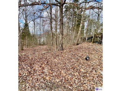 Lakefront Home with 2 Docks on 3 lots totaling 3.43 acres. Docks on Rough River Dam State Resort Park Golf Course in Kentucky - for sale on GolfHomes.com, golf home, golf lot