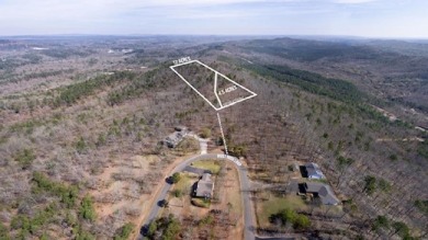 GORGEOUS MOUNTAIN VIEWS! BACKS UP TO DEPT OF AGRICULTURE LAND on Belvedere Golf Club in Arkansas - for sale on GolfHomes.com, golf home, golf lot