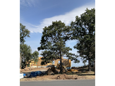LEVEL BEAUTIFUL HOMESITE ON THE RIDGE AT THE RUNNING Y. Cinnamon on Running Y Ranch Resort in Oregon - for sale on GolfHomes.com, golf home, golf lot