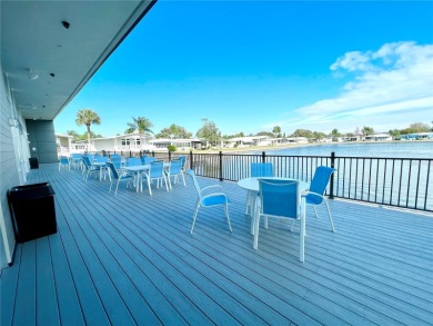 Charming, Well-Maintained Home in the PET SECTION - Move-In on Fairway Village Golf Course in Florida - for sale on GolfHomes.com, golf home, golf lot