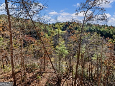 Come tour this beautifully finished new construction home in on Innsbruck Resort and Golf Club in Georgia - for sale on GolfHomes.com, golf home, golf lot
