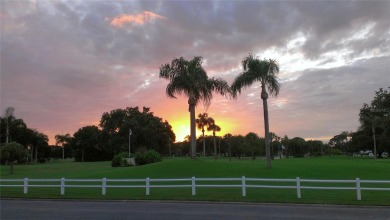 Charming, Well-Maintained Home in the PET SECTION - Move-In on Fairway Village Golf Course in Florida - for sale on GolfHomes.com, golf home, golf lot