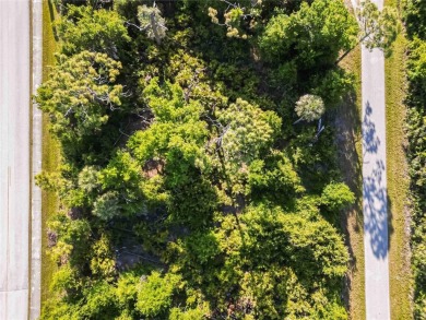 Under contract-accepting backup offers. Incredible opportunity on Oyster Creek Golf Club in Florida - for sale on GolfHomes.com, golf home, golf lot