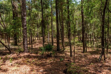 This 1.25 Acre wooded lot is located in a highly desired Rainbow on Juliette Falls Golf and Spa Club in Florida - for sale on GolfHomes.com, golf home, golf lot
