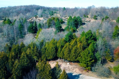 Four buildable acres between Maxey Rd and Lake Bluff DR in on Arcadia Bluffs Golf Club in Michigan - for sale on GolfHomes.com, golf home, golf lot