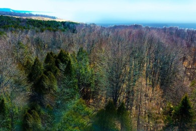 Four buildable acres between Maxey Rd and Lake Bluff DR in on Arcadia Bluffs Golf Club in Michigan - for sale on GolfHomes.com, golf home, golf lot