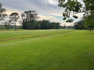 Beautiful views are what you'd expect when you live at the on Circlestone Country Club in Georgia - for sale on GolfHomes.com, golf home, golf lot