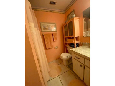 Welcome Home to this charming move-in ready , 2-bedroom, 2 full on Kings Point Executive Golf Course in Florida - for sale on GolfHomes.com, golf home, golf lot