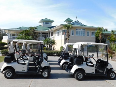 NO MANDATORY MEMBERSHIP FEES REQUIRED!!!!!Tranquility awaits you on The Preserve Golf Club At Tara in Florida - for sale on GolfHomes.com, golf home, golf lot