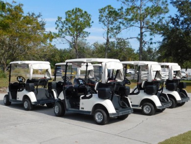 NO MANDATORY MEMBERSHIP FEES REQUIRED!!!!!Tranquility awaits you on The Preserve Golf Club At Tara in Florida - for sale on GolfHomes.com, golf home, golf lot