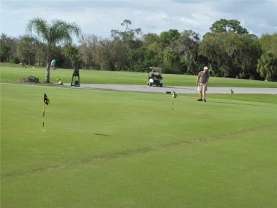 NO MANDATORY MEMBERSHIP FEES REQUIRED!!!!!Tranquility awaits you on The Preserve Golf Club At Tara in Florida - for sale on GolfHomes.com, golf home, golf lot