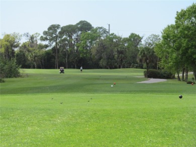 NO MANDATORY MEMBERSHIP FEES REQUIRED!!!!!Tranquility awaits you on The Preserve Golf Club At Tara in Florida - for sale on GolfHomes.com, golf home, golf lot