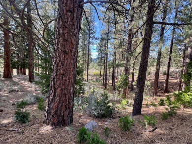 Adventure seekers and dream-home builders, get ready to stake on Nakoma Golf Resort in California - for sale on GolfHomes.com, golf home, golf lot
