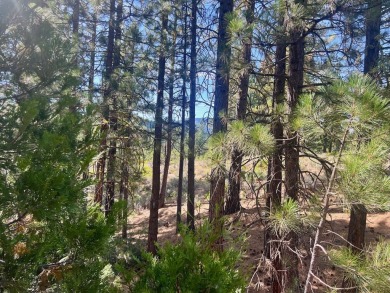 Adventure seekers and dream-home builders, get ready to stake on Nakoma Golf Resort in California - for sale on GolfHomes.com, golf home, golf lot