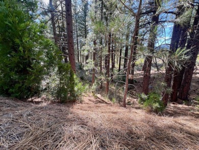 Adventure seekers and dream-home builders, get ready to stake on Nakoma Golf Resort in California - for sale on GolfHomes.com, golf home, golf lot