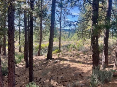 Adventure seekers and dream-home builders, get ready to stake on Nakoma Golf Resort in California - for sale on GolfHomes.com, golf home, golf lot