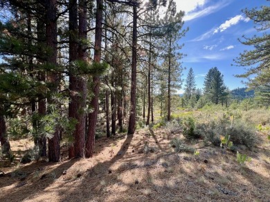 Adventure seekers and dream-home builders, get ready to stake on Nakoma Golf Resort in California - for sale on GolfHomes.com, golf home, golf lot