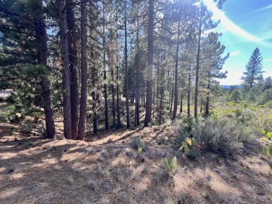 Adventure seekers and dream-home builders, get ready to stake on Nakoma Golf Resort in California - for sale on GolfHomes.com, golf home, golf lot