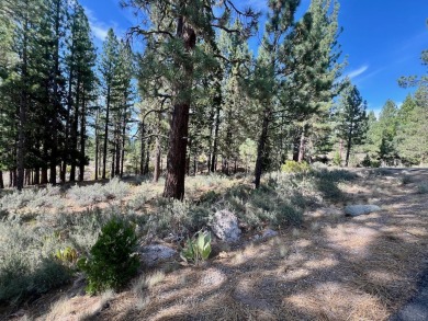 Adventure seekers and dream-home builders, get ready to stake on Nakoma Golf Resort in California - for sale on GolfHomes.com, golf home, golf lot