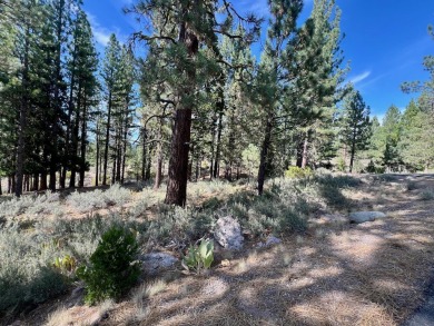 Adventure seekers and dream-home builders, get ready to stake on Nakoma Golf Resort in California - for sale on GolfHomes.com, golf home, golf lot