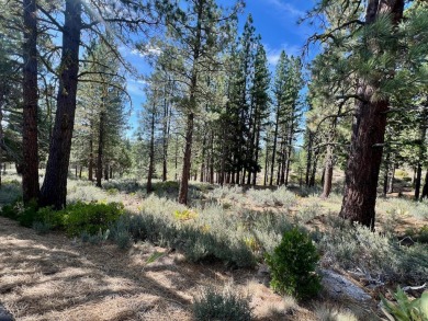 Adventure seekers and dream-home builders, get ready to stake on Nakoma Golf Resort in California - for sale on GolfHomes.com, golf home, golf lot