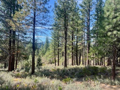 Adventure seekers and dream-home builders, get ready to stake on Nakoma Golf Resort in California - for sale on GolfHomes.com, golf home, golf lot