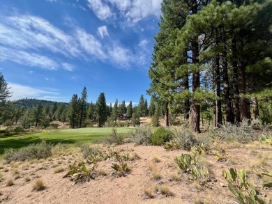 Adventure seekers and dream-home builders, get ready to stake on Nakoma Golf Resort in California - for sale on GolfHomes.com, golf home, golf lot