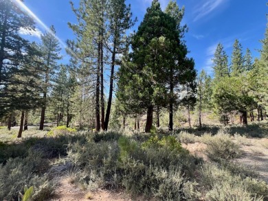 Calling all thrill-seekers and mountain dreamers, get pumped to on Nakoma Golf Resort in California - for sale on GolfHomes.com, golf home, golf lot