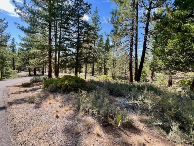 Calling all thrill-seekers and mountain dreamers, get pumped to on Nakoma Golf Resort in California - for sale on GolfHomes.com, golf home, golf lot