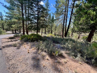 Calling all thrill-seekers and mountain dreamers, get pumped to on Nakoma Golf Resort in California - for sale on GolfHomes.com, golf home, golf lot