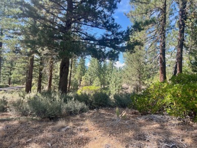 Calling all thrill-seekers and mountain dreamers, get pumped to on Nakoma Golf Resort in California - for sale on GolfHomes.com, golf home, golf lot
