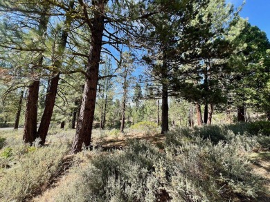 Calling all thrill-seekers and mountain dreamers, get pumped to on Nakoma Golf Resort in California - for sale on GolfHomes.com, golf home, golf lot