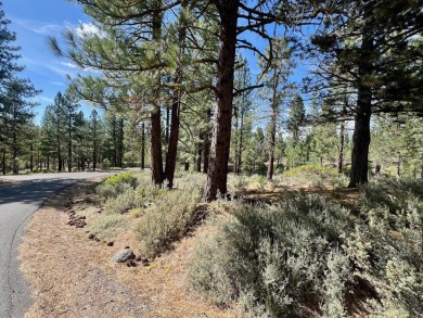 Calling all thrill-seekers and mountain dreamers, get pumped to on Nakoma Golf Resort in California - for sale on GolfHomes.com, golf home, golf lot