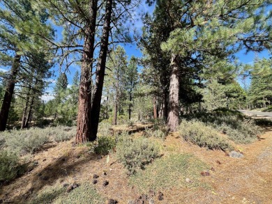 Calling all thrill-seekers and mountain dreamers, get pumped to on Nakoma Golf Resort in California - for sale on GolfHomes.com, golf home, golf lot