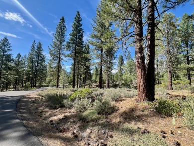 Calling all thrill-seekers and mountain dreamers, get pumped to on Nakoma Golf Resort in California - for sale on GolfHomes.com, golf home, golf lot