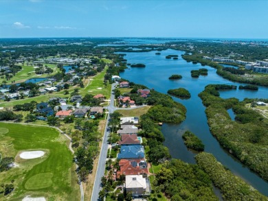 Escape to a haven of natural beauty and tranquility in the Long on Seminole Lake Country Club in Florida - for sale on GolfHomes.com, golf home, golf lot