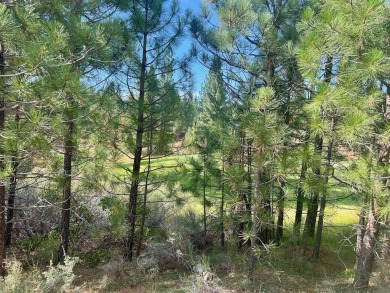 Calling all thrill-seekers and mountain dreamers, get pumped to on Nakoma Golf Resort in California - for sale on GolfHomes.com, golf home, golf lot