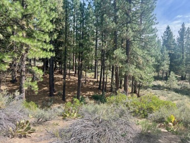 Calling all thrill-seekers and mountain dreamers, get pumped to on Nakoma Golf Resort in California - for sale on GolfHomes.com, golf home, golf lot