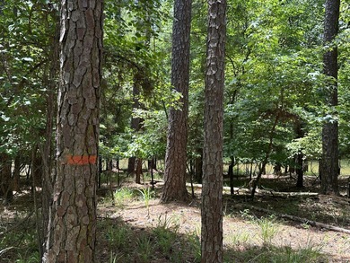 LAKEFRONT / WATERFRONT Residential tract of land in the on Monticello Golf Club At Savannah Lakes in South Carolina - for sale on GolfHomes.com, golf home, golf lot