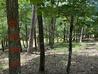 LAKEFRONT / WATERFRONT Residential tract of land in the on Monticello Golf Club At Savannah Lakes in South Carolina - for sale on GolfHomes.com, golf home, golf lot