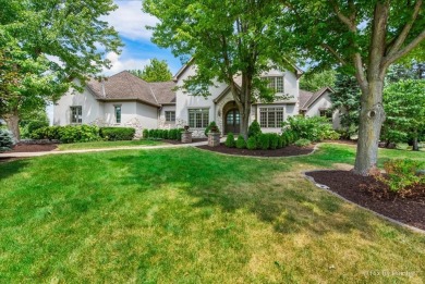 Stunning custom French Country-Style home with an INGROUND POOL on RedTail Golf Club in Illinois - for sale on GolfHomes.com, golf home, golf lot