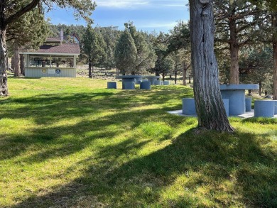 This beautiful sloping lot with in your-face-views of Lake on Lake Shastina Golf Course in California - for sale on GolfHomes.com, golf home, golf lot