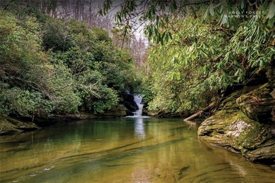 Immersed in tranquility, this three-bedroom mountain home on Sapphire National Golf Club in North Carolina - for sale on GolfHomes.com, golf home, golf lot