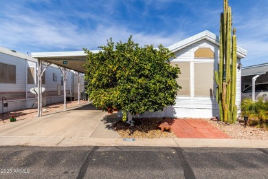 YOUR GORGEOUS NEW FULLY FURNISHED COZY HOME IS A 2 BEDROOM, 1 on Viewpoint Golf Resort in Arizona - for sale on GolfHomes.com, golf home, golf lot