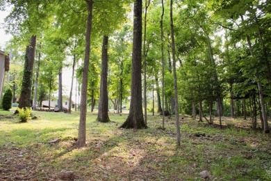 Attention outdoor lovers! These prime Bella Vista lots offer on Bella Vista Country Club and Golf Course in Arkansas - for sale on GolfHomes.com, golf home, golf lot