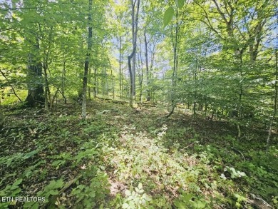 This Beautiful Vacant Land is Waiting On Your Creativity & on Tellico Village Golf Club in Tennessee - for sale on GolfHomes.com, golf home, golf lot